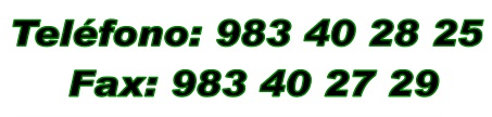 Teléfono: 983 402 825 - Fax: 983 402 729
